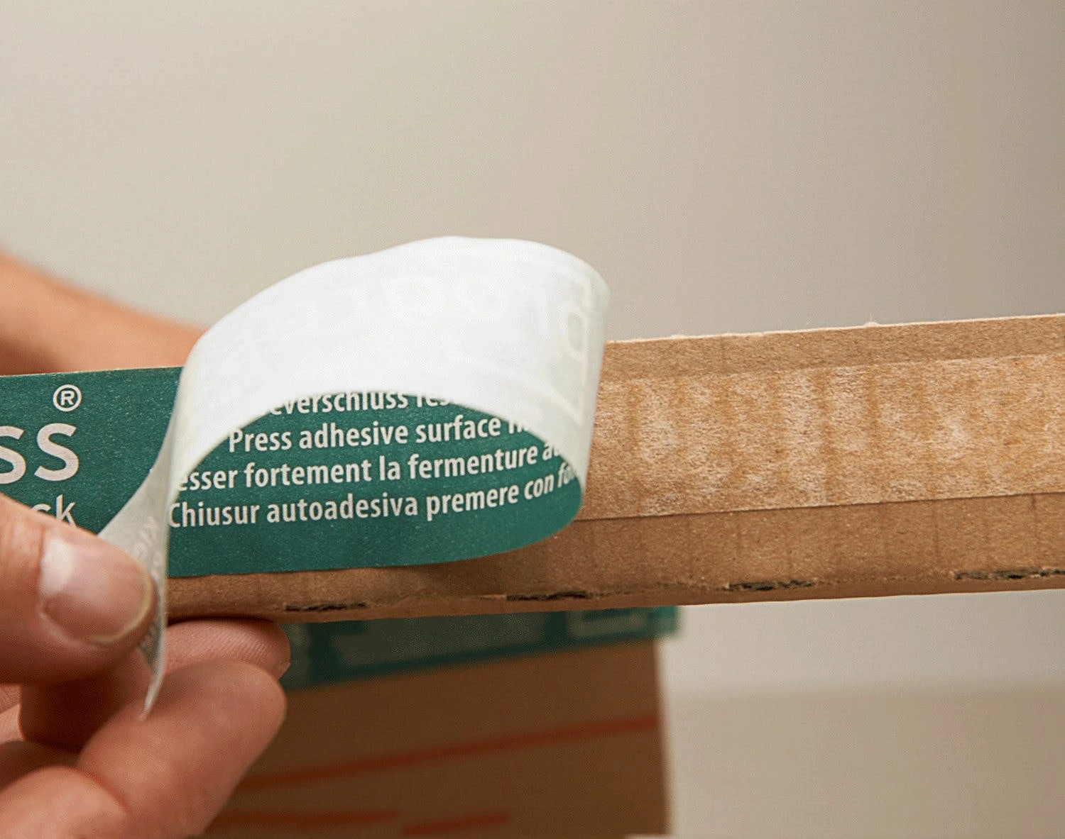 Null 10x ProgressBOX Fixiereinlage "Premium" Für Versandkarton 460x310mm DIN A3+ Braun 7 Null 10x ProgressBOX Fixiereinlage "Premium" Für Versandkarton 460x310mm DIN A3+ Braun – Bild 7