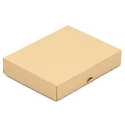 Kk-verpackungen 1200 Maxibriefkartons 255 X 200 X 46 Mm Post Versandkartons Wellpappe Kartons Braun 9 Kk-verpackungen 1200 Maxibriefkartons 255 X 200 X 46 Mm Post Versandkartons Wellpappe Kartons Braun -Tesa Geschäft 85a02a8c ad40 4ec9 9915 93ac2d79c48e 1